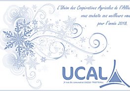 Carte de vœux ucal 2018