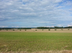 champs et nuages