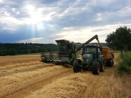 Créée il y a plus de 25 ans, l’Union des Coopératives Agricoles de l’Allier (UCAL) soutient les coopératives et les aide à dégager de la valeur ajoutée.