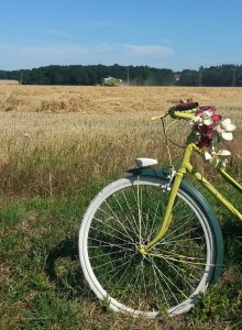 Moisson d'orge - saint-Pourçain-sur-sioule