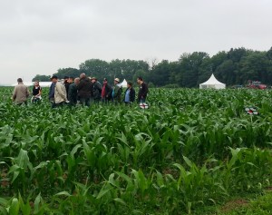 Emma Mosnier présente les différentes stratégies de désherbage chimique 