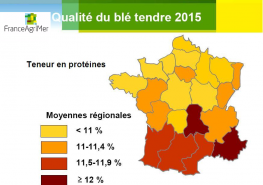 Qualité protéique des blés 2015 - France Agrimer
