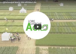 Film plate-forme essai 2017 Loire-Auvergne-Agro - agroécologie