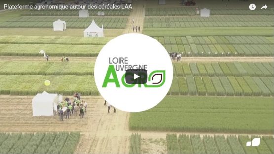 Film plate-forme essai 2017 Loire-Auvergne-Agro - agroécologie