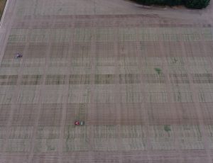 Plate-forme agronomique LAA 2018 - vue drone