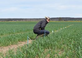 Visite d'essais UCAL et Loire Auvergne Agro - printemps 2018