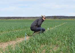 Visite d'essais UCAL et Loire Auvergne Agro - printemps 2018