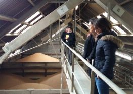 Visite Groupe Nicot - silo gannat - Corine Jasserand - Responsable QSE UCAL