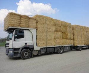 Sécheresse 2019 : Camion paille silo UCAL stockage